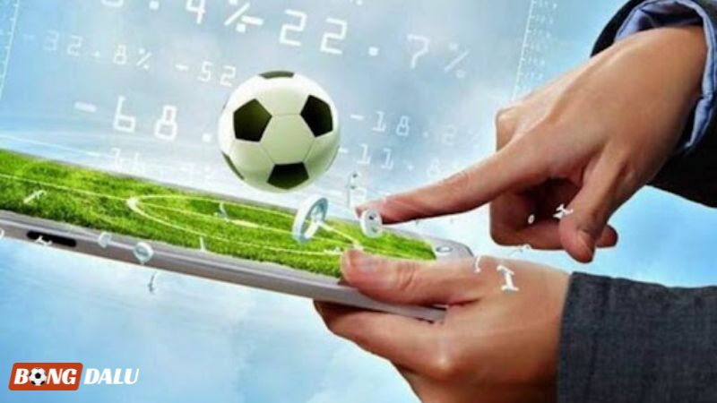 Bỏ túi những kinh nghiệm giúp bạn đánh kèo bóng đá ½ hiệu quả